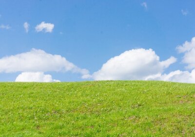 Tableau  Low angle shot of the top of a hill with grassy field