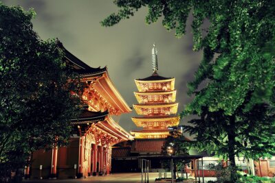 Lumières sur un temple à Tokyo