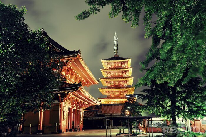 Tableau  Lumières sur un temple à Tokyo