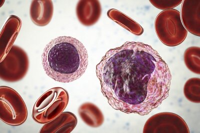 Tableau  Lymphocyte (à gauche) et monocyte (à droite) entourés de globules rouges, illustration 3D