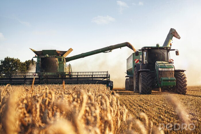Tableau  Mähdrescher und Traktor bei der Ernte auf einem Weizenfeld