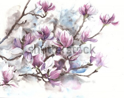 Tableau  Magnolia flowers blooming spring blossom magnolia tree watercolor painting