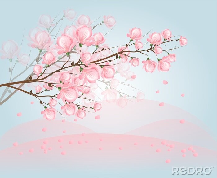Tableau  Magnolia lumière fleurs roses sur le ciel