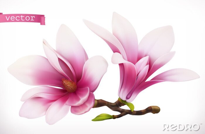 Tableau  Magnolias graphiques en trois dimensions