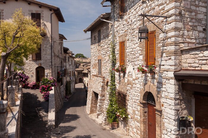 Tableau  Maisons en pierre au soleil