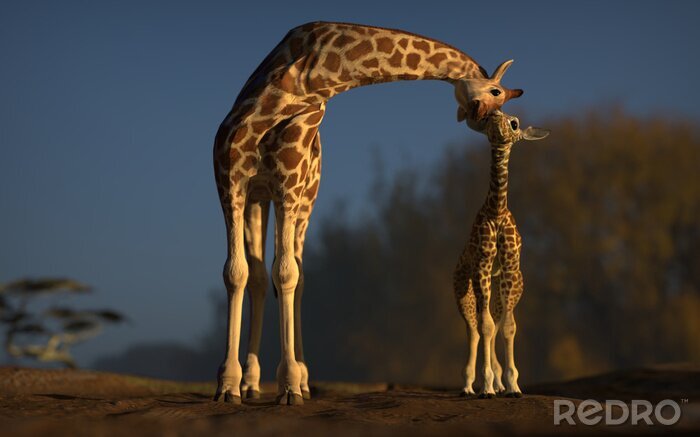 Tableau  Maman et bébé girafe