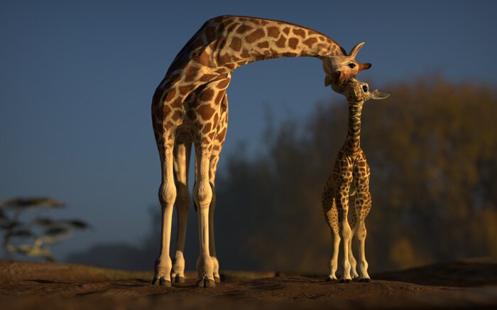 Tableau  Maman et bébé girafe