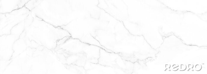 Tableau  Marbre blanc avec détails gris