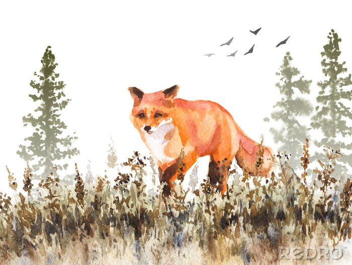 Tableau  Marcher Red Fox Sketch