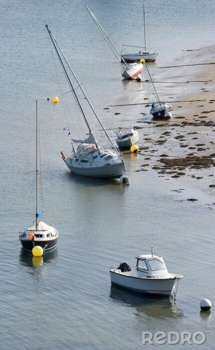 Tableau  Maree basse