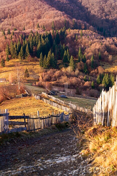 Tableau  Matin d'automne dans la nature