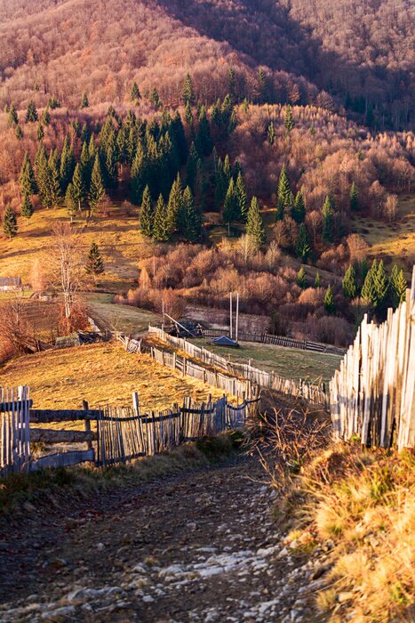 Tableau  Matin d'automne dans la nature