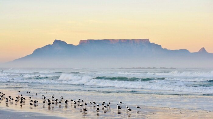 Tableau  Matin glorieuse