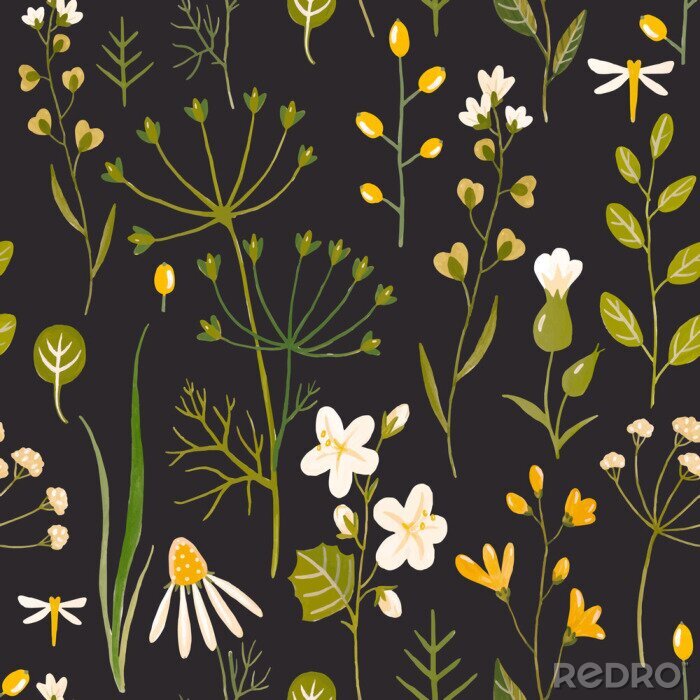 Tableau  Modèle aquarelle vecteur floral