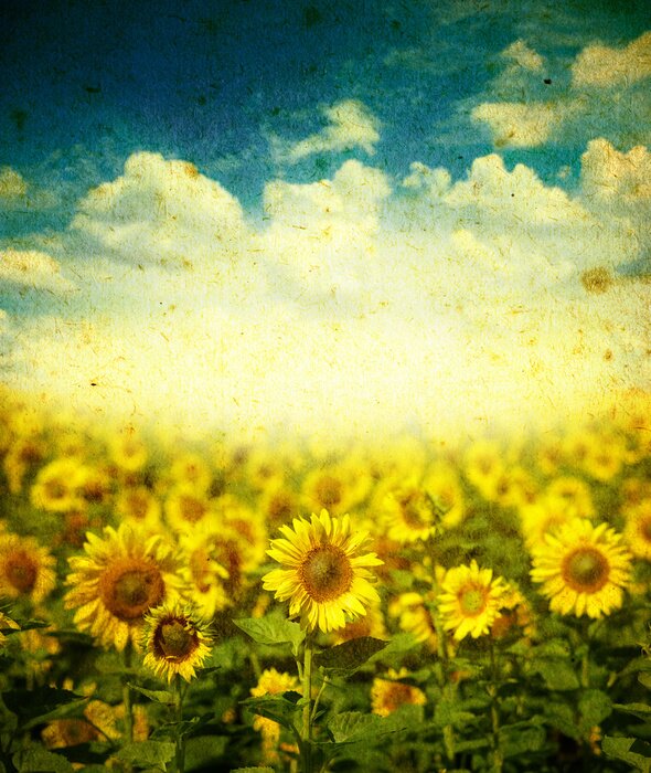 Tableau  Modèle rétro avec des tournesols