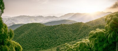 Tableau  Montagne dans le sud de la Chine