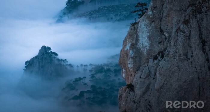 Tableau  Montagnes entourées de brouillards