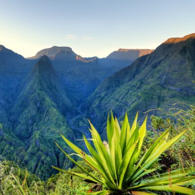 Montagnes et végétation tropicale