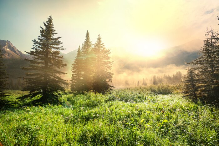 Tableau  Montagnes prairie
