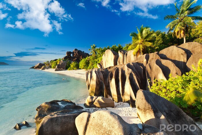 Tableau  Montagnes sur la côte des Seychelles