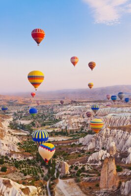 Tableau  Montgolfière survolant la Cappadoce en Turquie