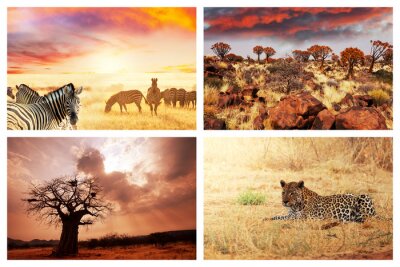 Motif africain avec les animaux