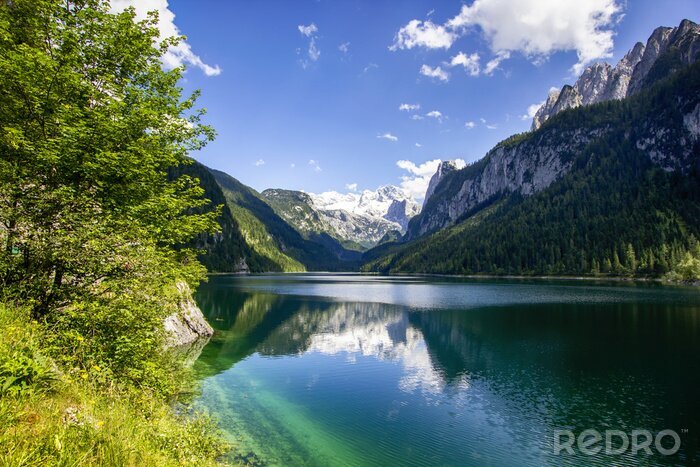 Tableau  Motif d'une montagne entourée par la nature