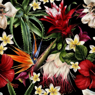 Tableau  Motif floral sans couture avec fleurs tropicales, aquarelles.