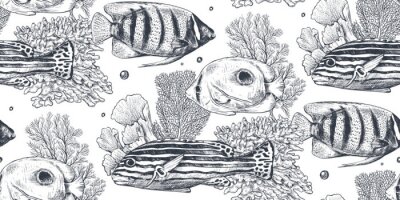Motif marin noir et blanc avec des poissons