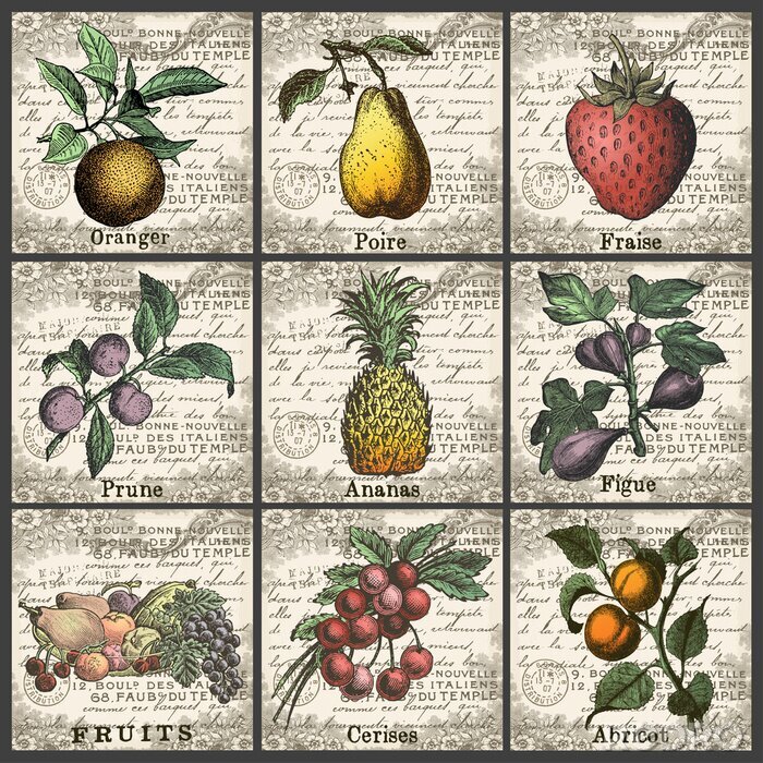 Tableau  Motif vintage avec des fruits