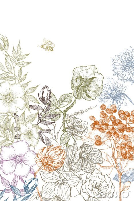 Tableau  Motifs de plantes minimalistes illustration simple