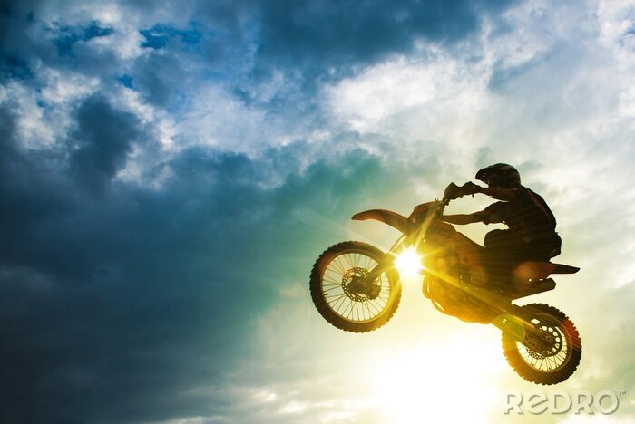Tableau  Motocross Bike Jump