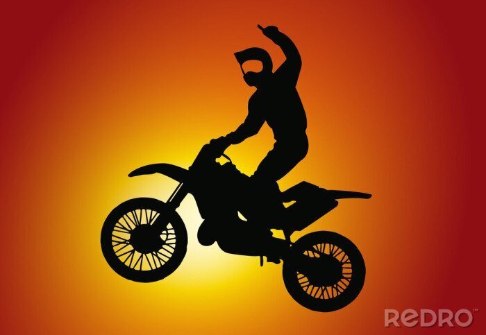 Tableau  Motocross Silhouette