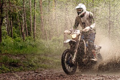 Tableau  Motocycliste dans la boue