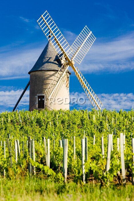 Tableau  Moulin à vent dans un champ en France