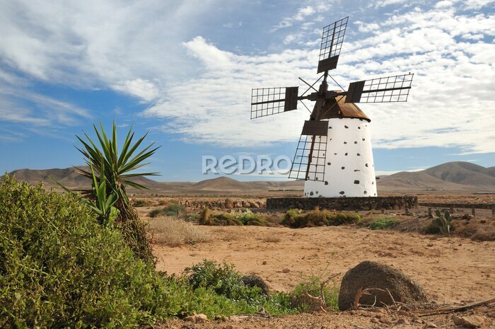Tableau  Moulin à vent historique sur Fuerteventura