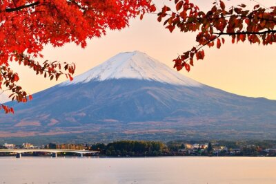 Tableau  Mt. Fuji à l'automne