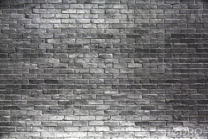 Tableau  Mur courbé en briques grises