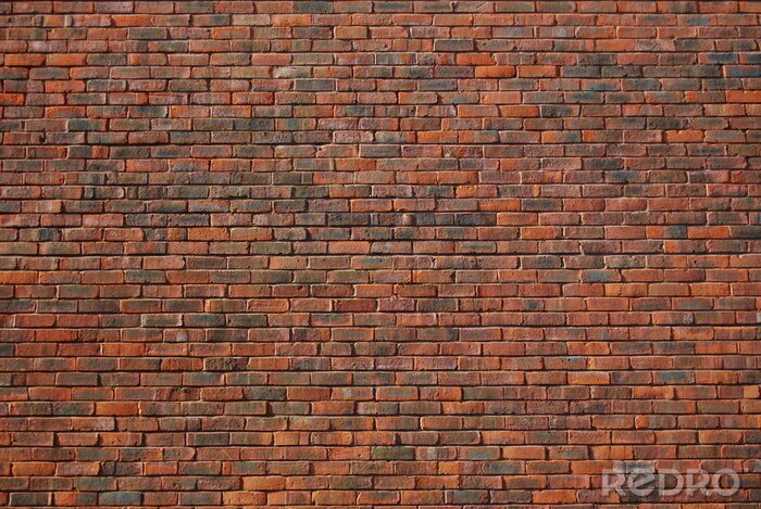 Tableau  Mur de briques et brique rouge