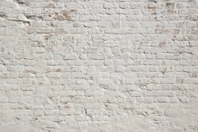 Tableau  Mur de briques fond blanc grunge