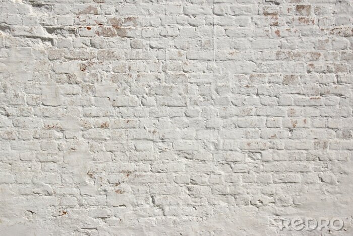Tableau  Mur de briques fond blanc grunge