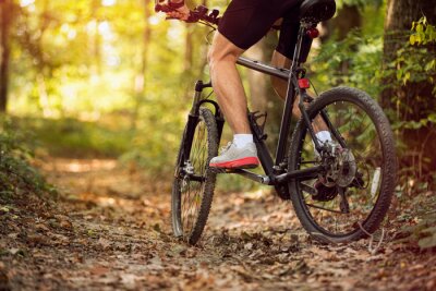 Tableau  Muscular legs and mountain bike