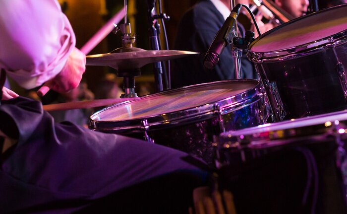 Tableau  Musicien lors d'un concert