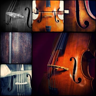 Musique et contrebasse