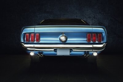 Tableau  Mustang en bleu