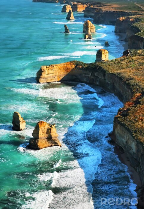 Tableau  Nature au bord de l'océan