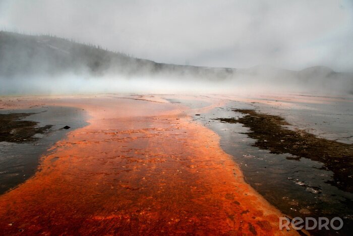 Tableau  Nature dans le brouillard