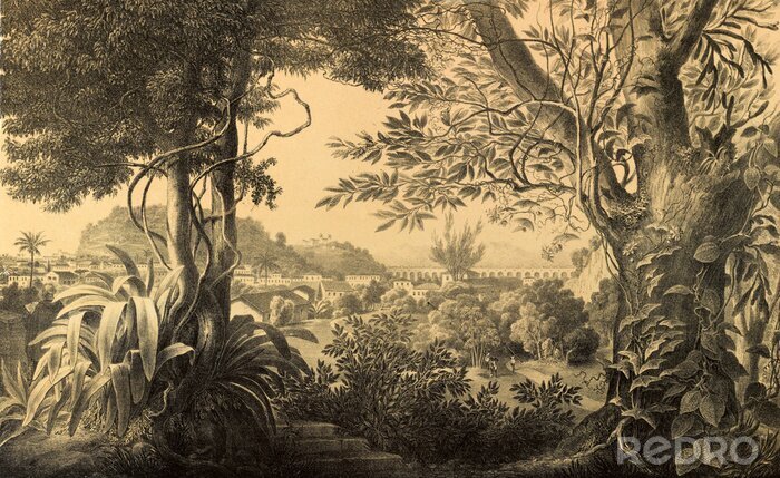 Tableau  Nature de l'Amérique du Sud.