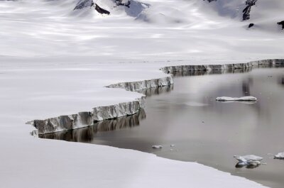 Tableau  Nature en Antarctique