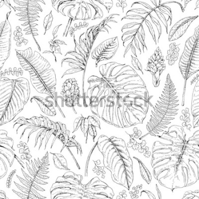 Tableau  Nature en croquis noir et blanc